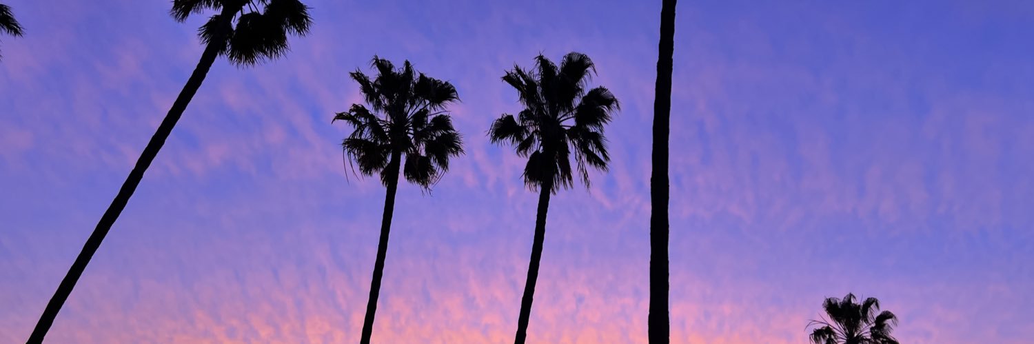 ddtorrez28's profile banner image
