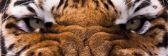 AndresJimboB's profile banner image