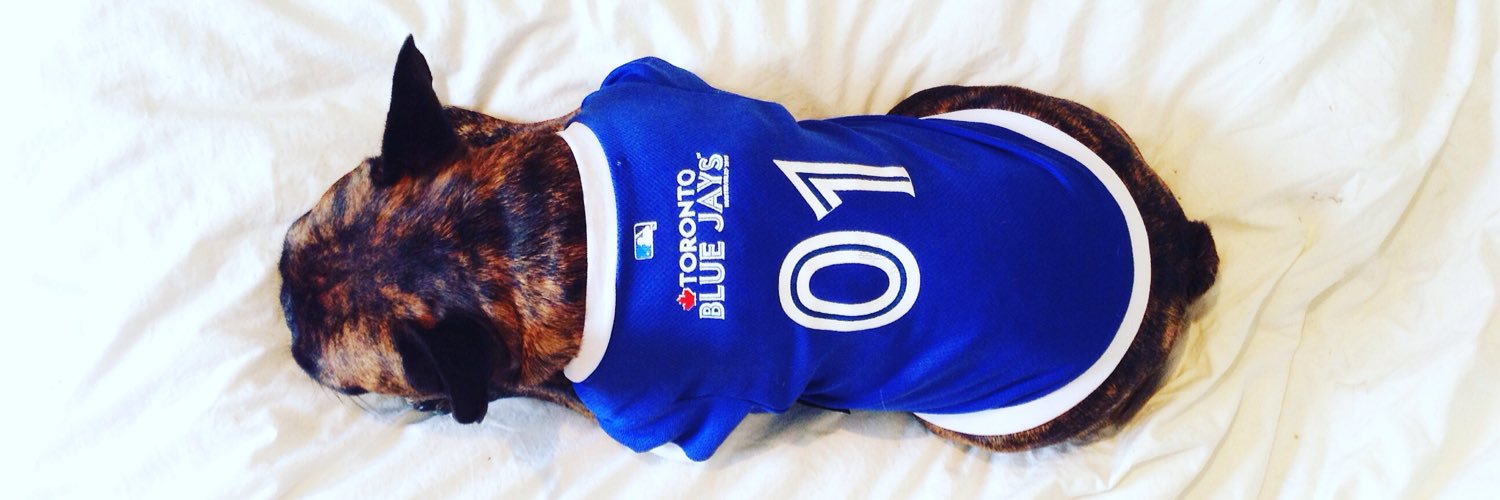 franklefrenchie's profile banner image