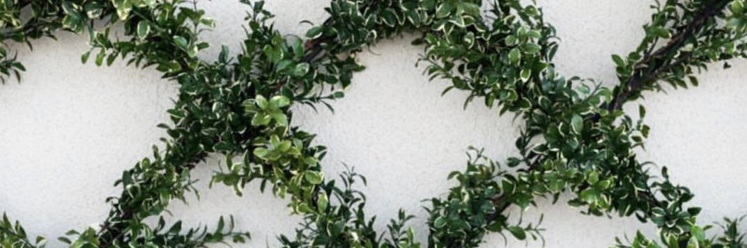 Sarah_Remington's profile banner image