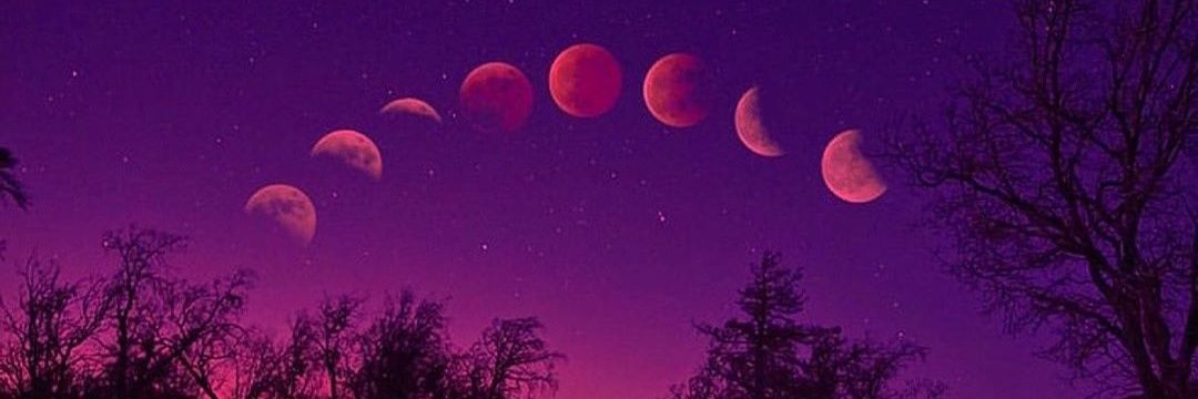andysegovia10's profile banner image