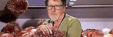 MarkBehringer's profile banner image