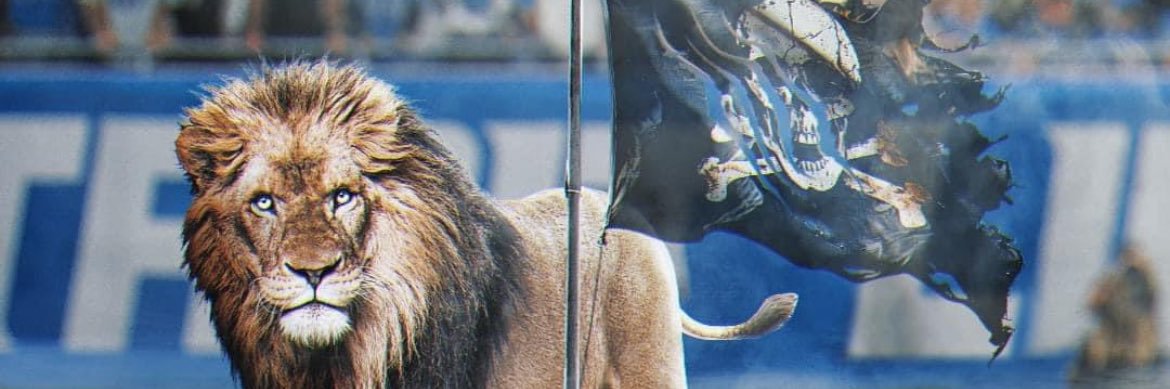 rolltheparlay's profile banner image