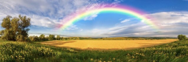 🌈Alisa Ali 🌈 banner