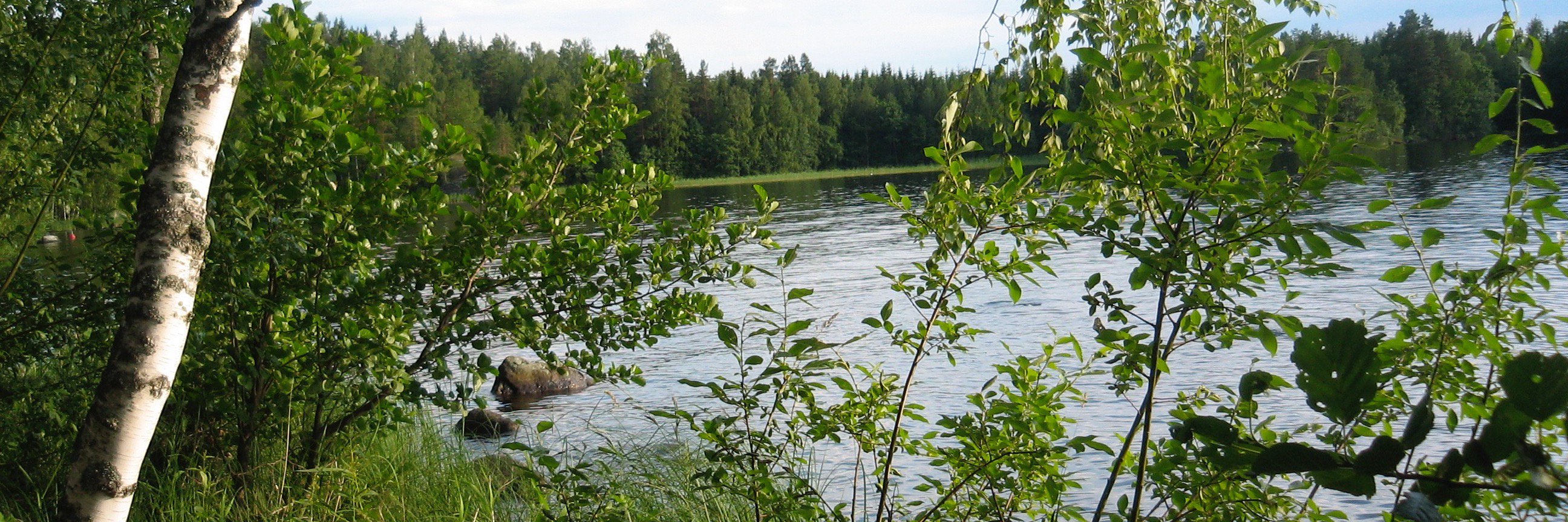 Pia Mäkelä banner