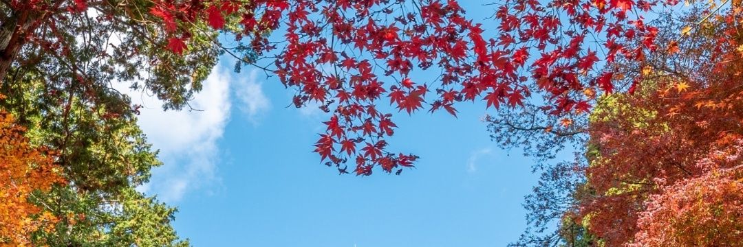 1163752116's profile banner image