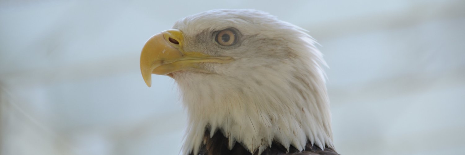 NMRepublicans's profile banner image