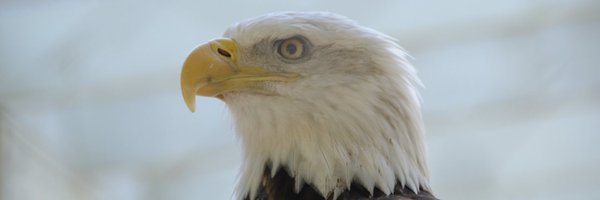 NMRepublicans Profile Banner