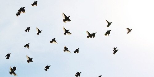 snapsun's profile banner image