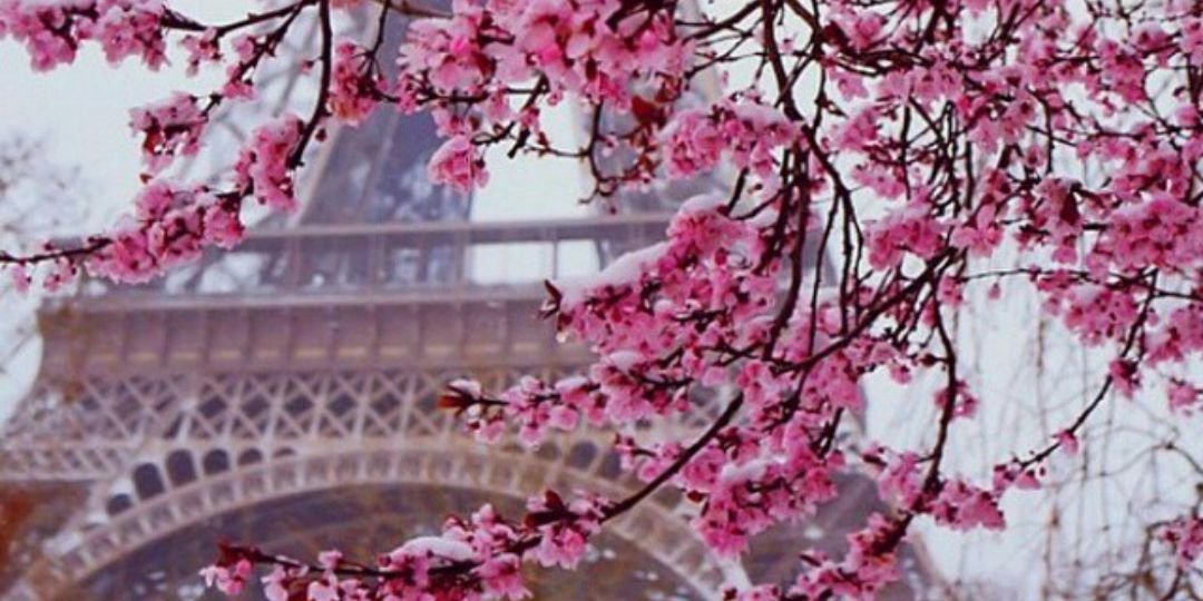noeberman's profile banner image