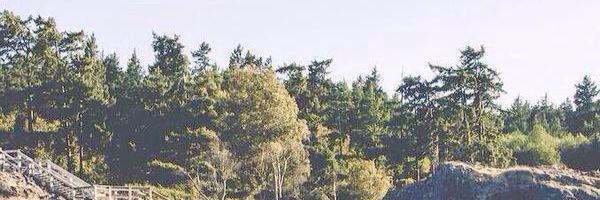 raebae512's profile banner image