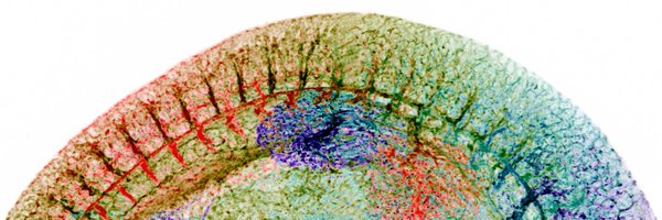 degrainger123 Profile Banner