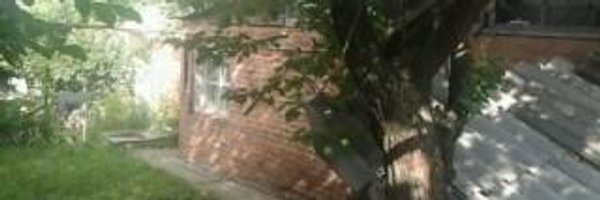 ssgm7 Profile Banner