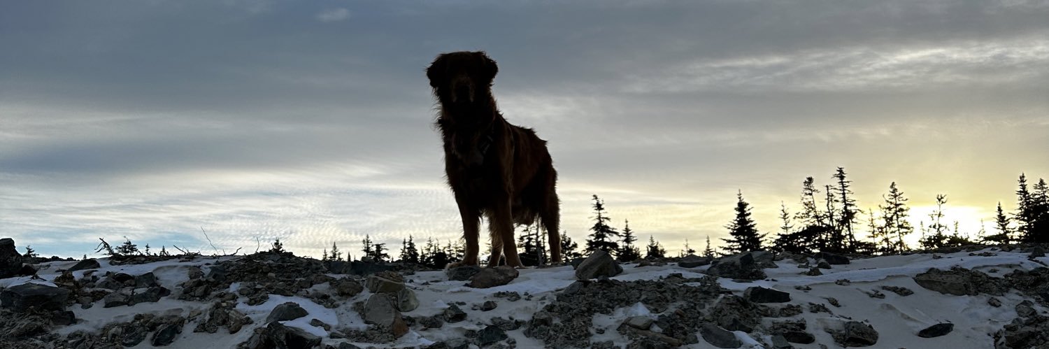kyle_gaulton's profile banner image