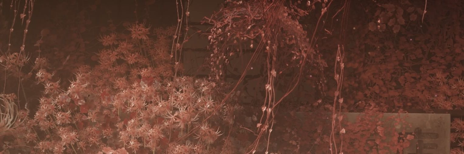 Shirayasworld's profile banner image
