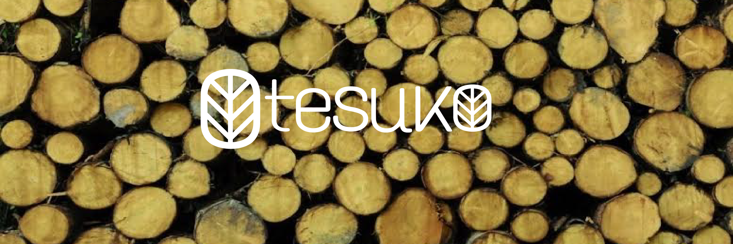 tesuko_es's profile banner image