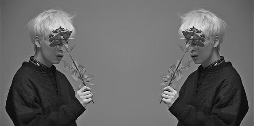 Joyce__Marina's profile banner image