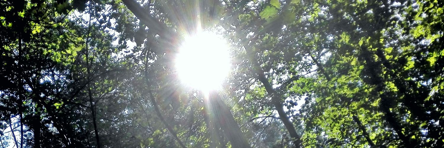 alpohn's profile banner image