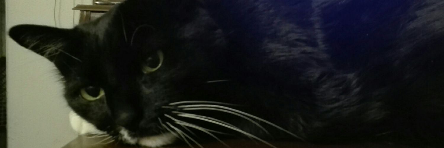 Ray Griffindor (Lukas Vikander)🎵🤦‍♂️❄ banner