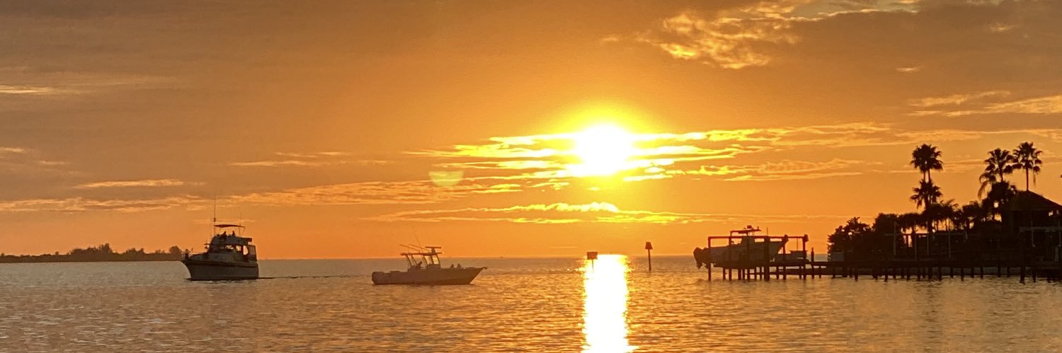 NYork75's profile banner image