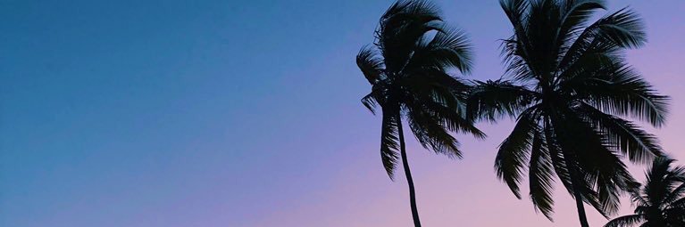 massielmartea's profile banner image
