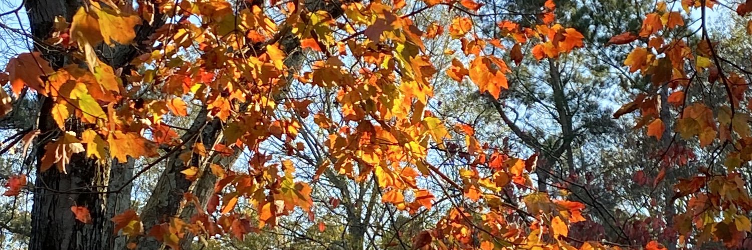 satlo13's profile banner image