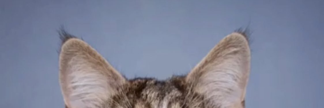 Mad_MaX 的个人资料封面