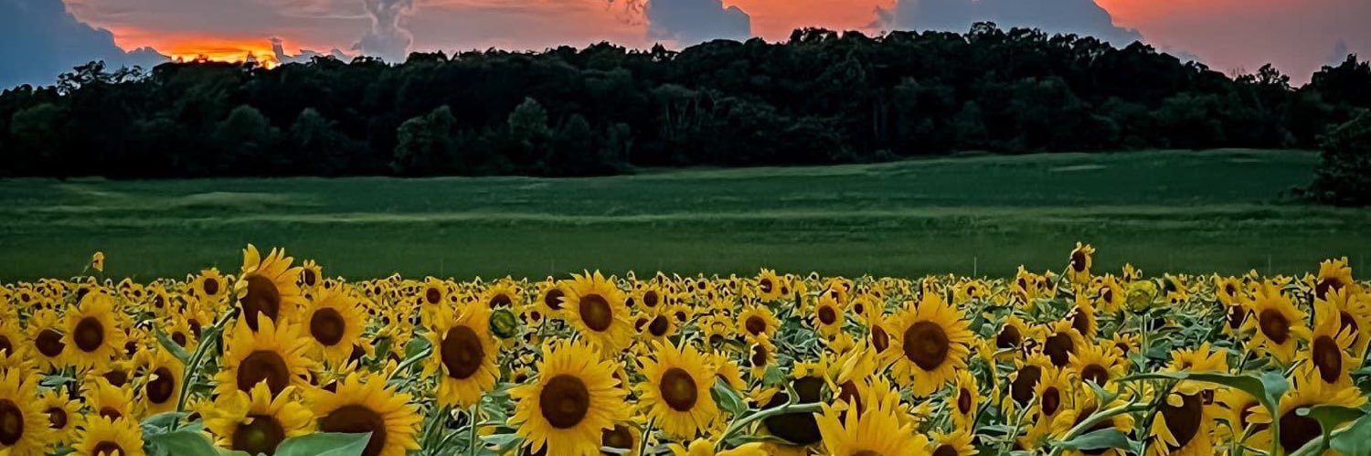andy22802's profile banner image