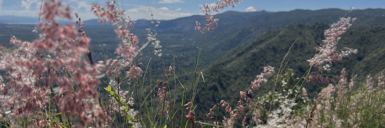 l_de_lu's profile banner image