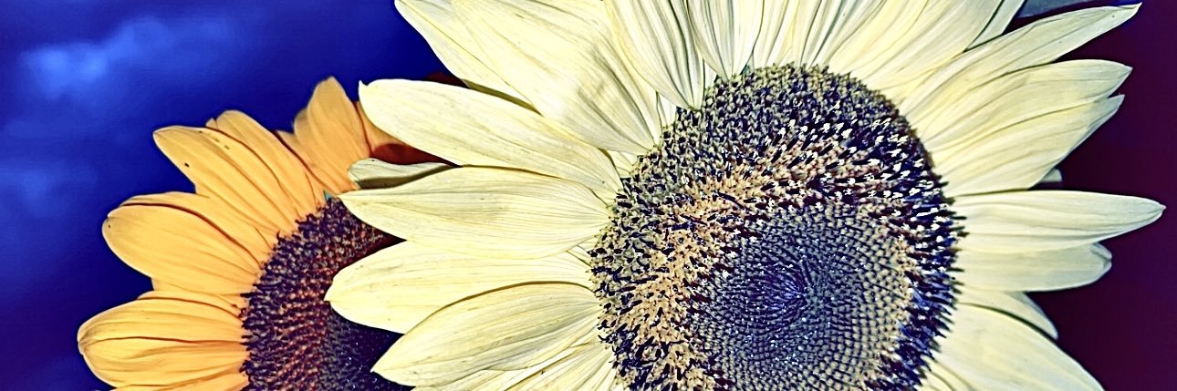 itsLiz_Bxtch's profile banner image