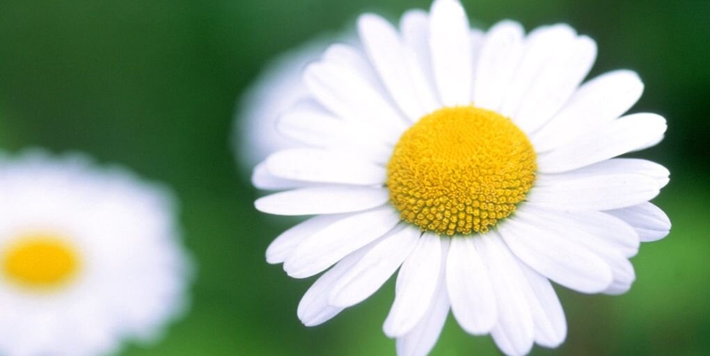 SaminurL's profile banner image
