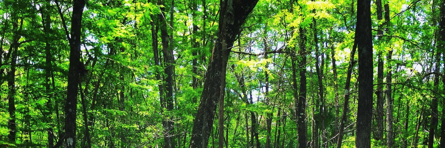 itsdeenlee's profile banner image