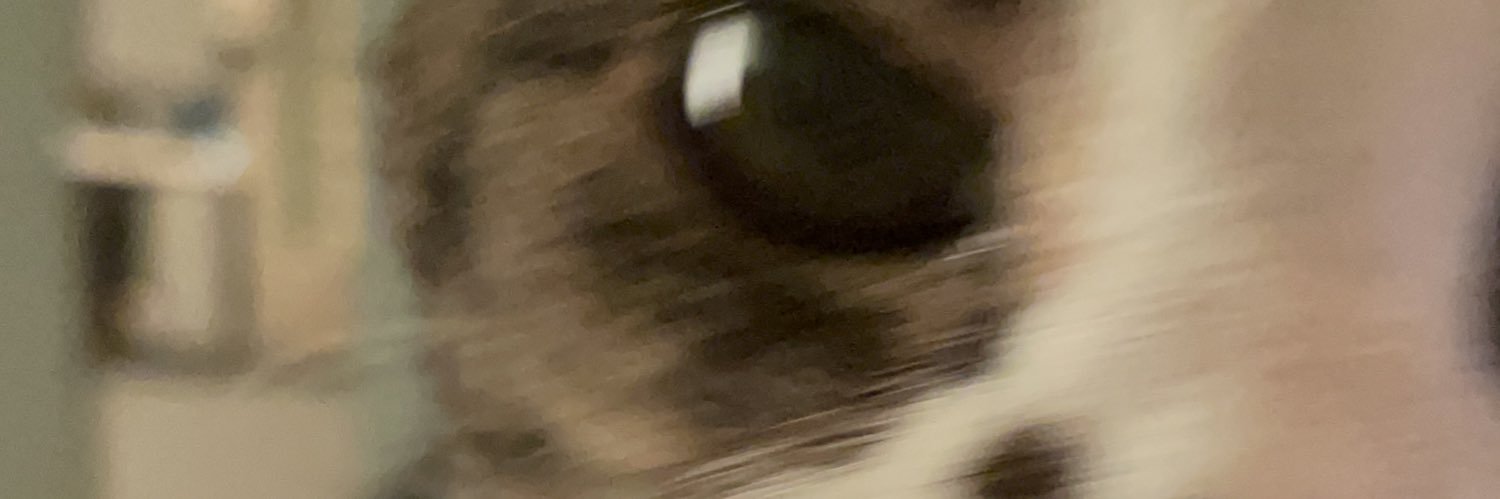 Alex Dolezal banner