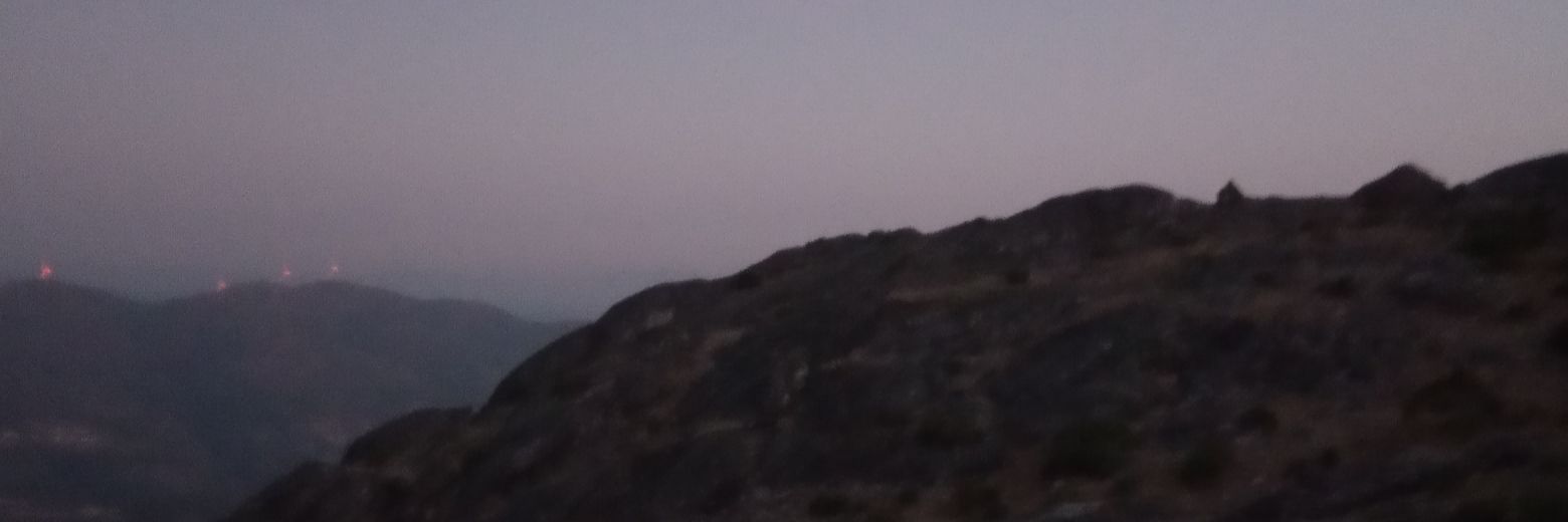SofiaSAmorim's profile banner image