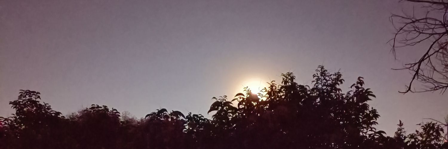 Cartamiin's profile banner image
