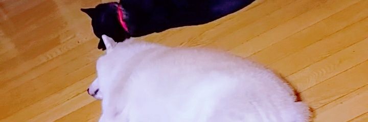 325Kh's profile banner image