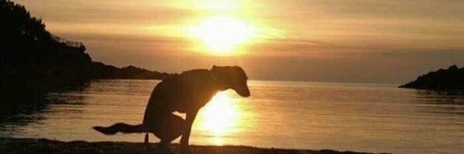epilefdanc's profile banner image