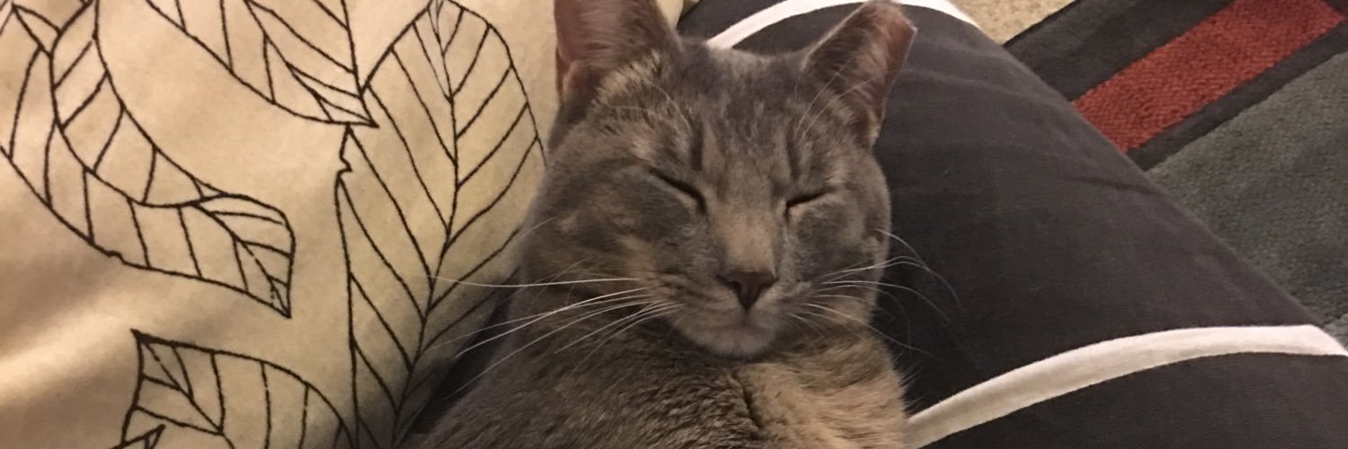 mgoldbar's profile banner image