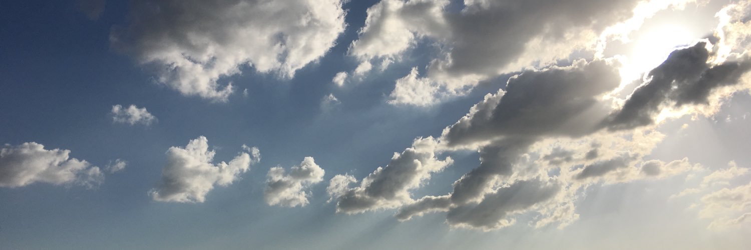 chickenbugi's profile banner image