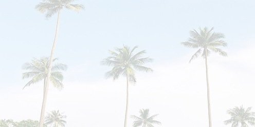 destroyGirl_'s profile banner image