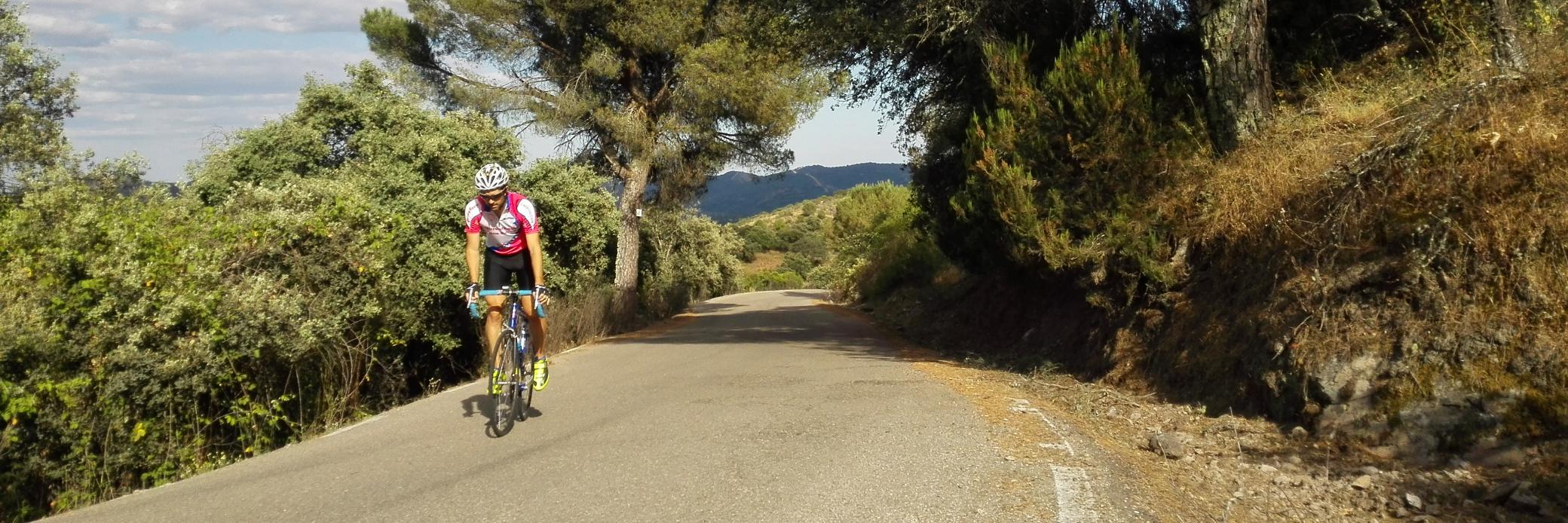 QuercusRoute's profile banner image
