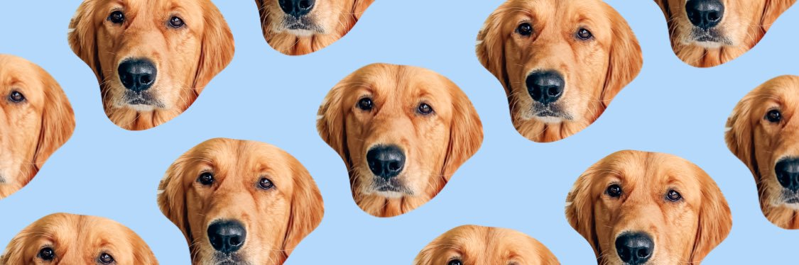 charris423's profile banner image