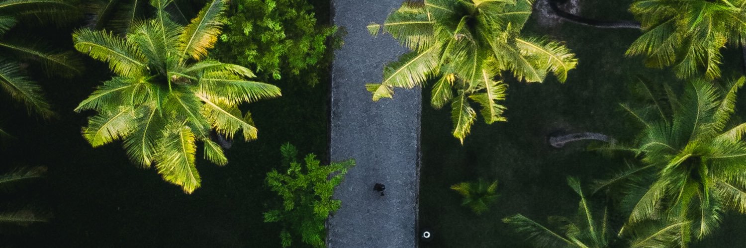SeeMoodra's profile banner image