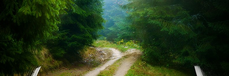 UnsceneSuffolk banner