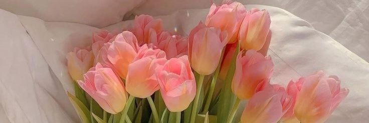 𝓡𝓮𝓮𝓶 . banner