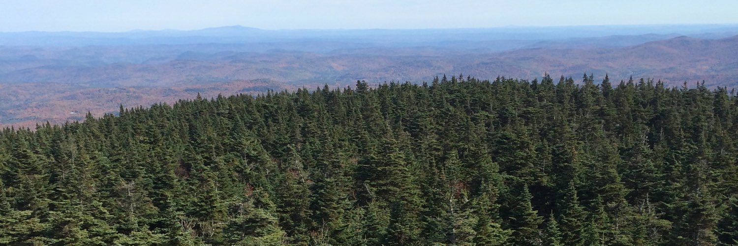 T_WF's profile banner image
