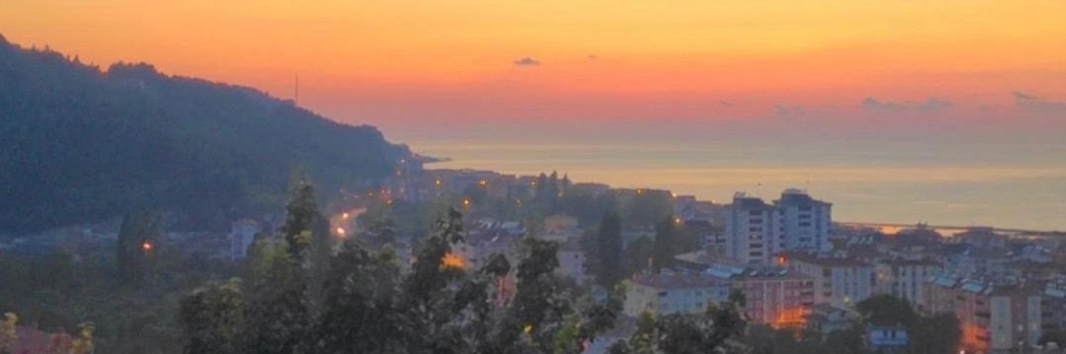 sevale_'s profile banner image