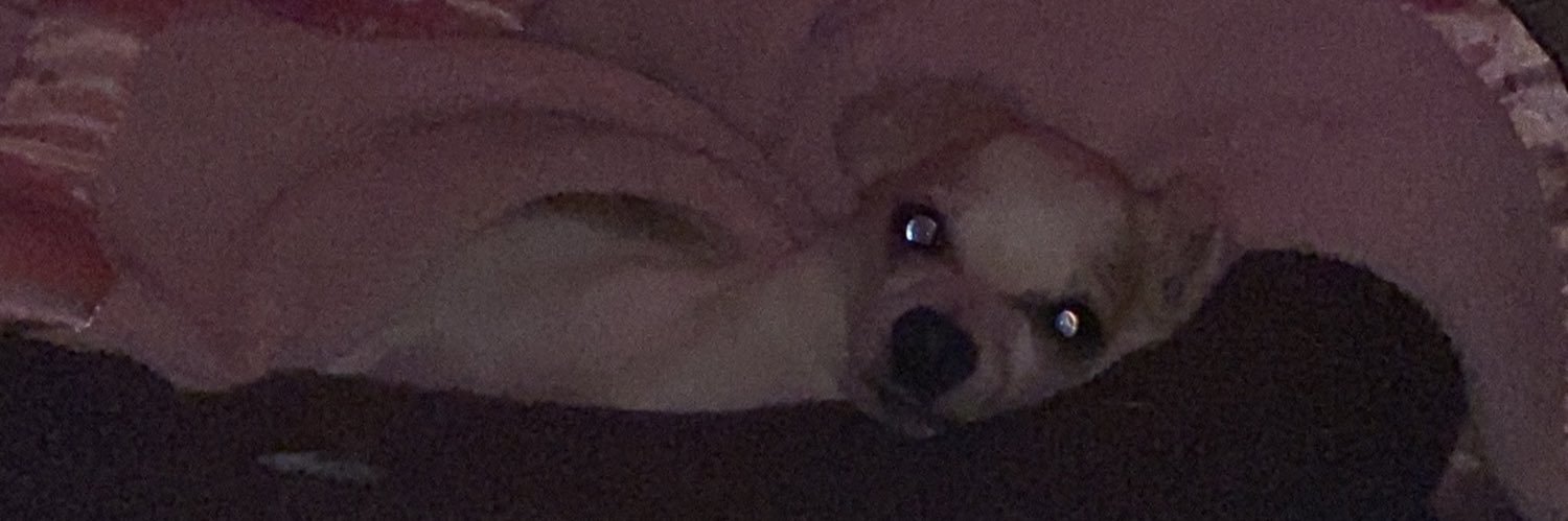 Curlieefroo_'s profile banner image