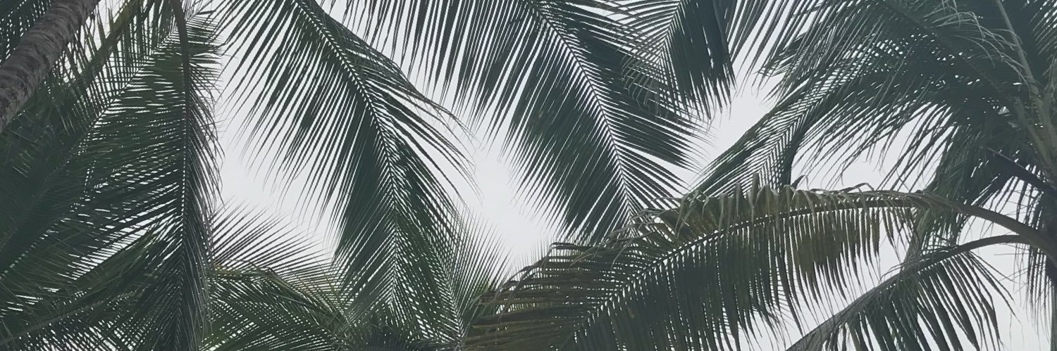 cmomatthew's profile banner image
