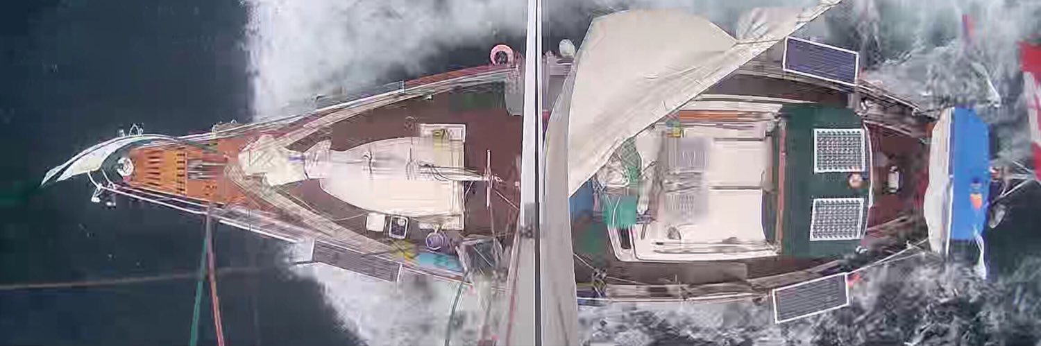 QueerInBC 🏳️‍🌈🇨🇦♿️ banner